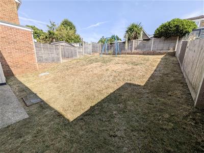 Picture 15